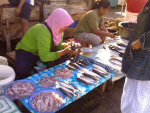 Cuaca Buruk : Harga Ikan Naik 100 Persen