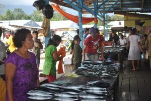 Gelombang Tinggi Picu Naiknya Harga Ikan di Bacan