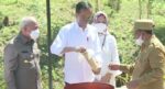 Tanah dan Air yang Dibawa Gubernur Malut ke IKN, Ini Asal Usulnya