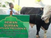 Hewan Qurban Bantuan Presiden, Siap Didistribusi Pemprov Malut
