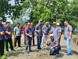 PLN Peduli Bantu Ribuan Bibit Mangrove untuk 5 Desa di Maluku Utara