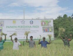 Wujud Ketahanan Pangan Pulau Obi Dengan Program SENTANI