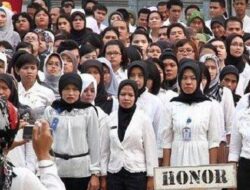 Lima Klasifikasi Pegawai Honorer Ini Tak Masuk Pendataan BKN, Nasib Mereka?