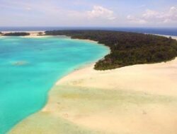 Mendagri Tito Sebut Lelang Pulau Widi Dibolehkan untuk Tarik Investor