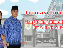Selain Kesehatan dan Pendidikan, Ini Jurusan Paling Dibutuhkan Pada Formasi Penerimaan CPNS 2023