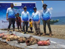 Harita Nickel Gelar Obi Fishing Tournament Kedua, Ikan di Perairan Kawasi Masih Melimpah