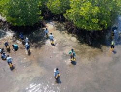 Harita Nickel Tanam Mangrove Sebagai Bentuk Komitmen Lestarikan Lingkungan di Desa Soligi Obi