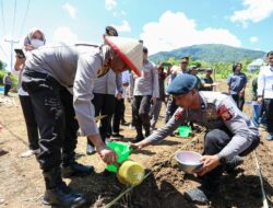 Perkuat Ketahanan Pangan, Kapolda Malut Tanam Jagung di Lahan 1,5 Hektar