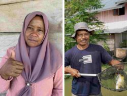 Kisah Sukses Petani Lokal Pulau Obi dalam Kemitraan Bersama Harita Nickel