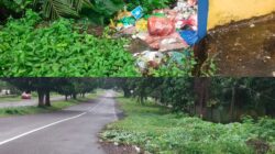 Krisis Sampah di Sofifi: Ibukota Provinsi Tanpa Armada dan TPA, Warga Buang Sampah ke Pinggir Jalan