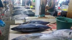 Cuaca Buruk Bikin Stok Ikan di Pasar Ternate Menipis, Harga Melonjak Dua Kali Lipat