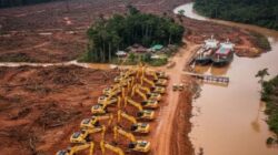 2000 Ekskavator Disiapkan untuk Proyek PSN di Merauke, Warga Adat Sampaikan Kekhawatiran