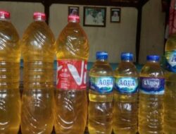 Minyak Goreng Curah dan Minyak Kita Baku Tanding Harga