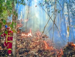 Sehari Tiga Kali Kebakaran Terjadi di Kota Ternate