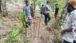 Tiga Warga Diduga Hendak Diserang OTK di Kebun, Polisi Imbau Masyarakat Tetap Tenang