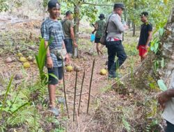 Tiga Warga Diduga Hendak Diserang OTK di Kebun, Polisi Imbau Masyarakat Tetap Tenang
