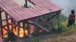 Kebakaran Hutan Moya Merembet ke Taman Love, Lima Pelajar Dievakuasi Tim Gabungan
