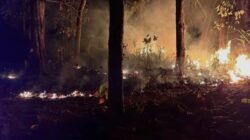 Bupati Halteng Larang Pembukaan Lahan dengan Cara Membakar